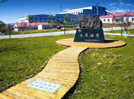平顶山天华矿业集团